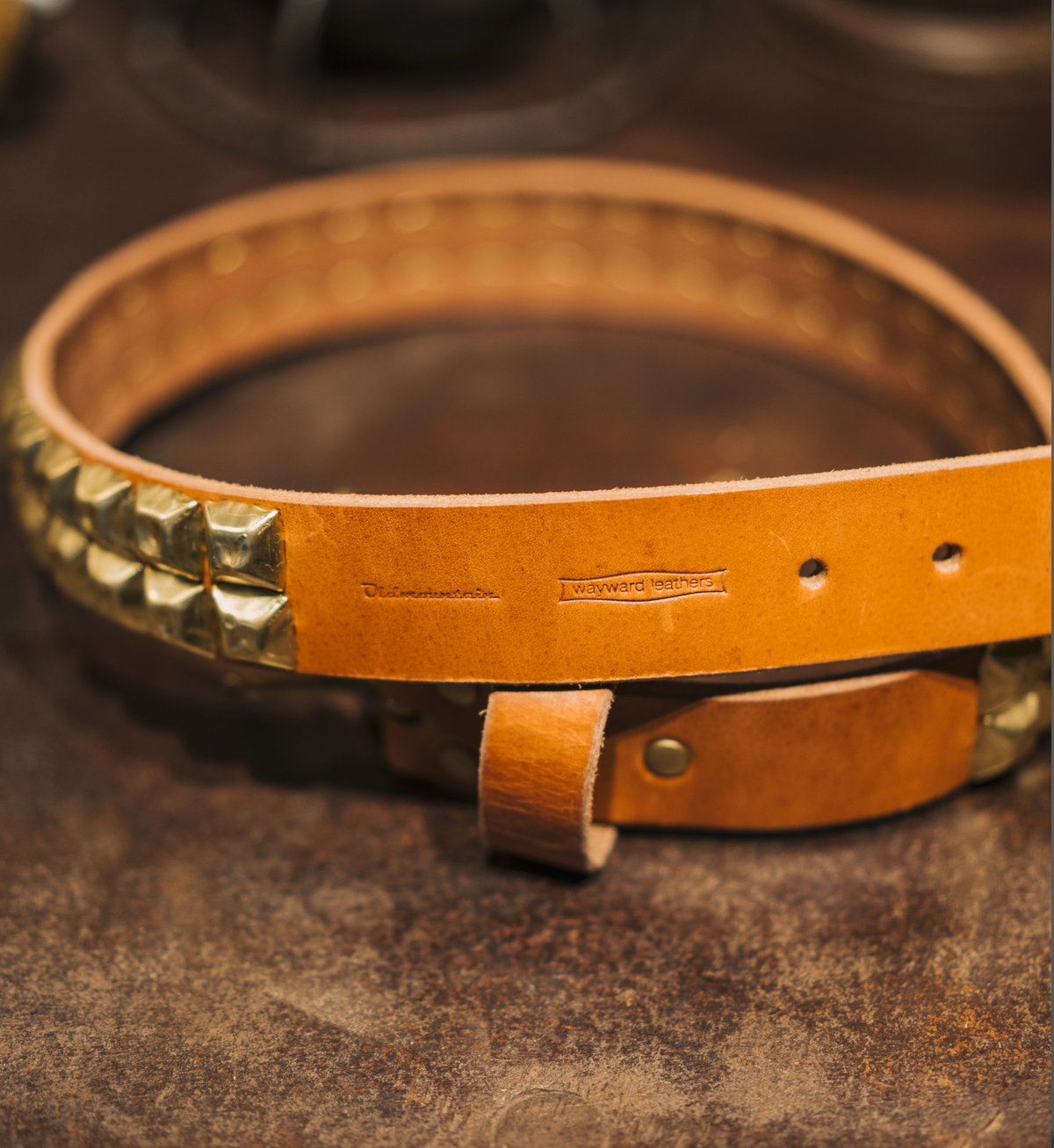 STUDS BELT dbl