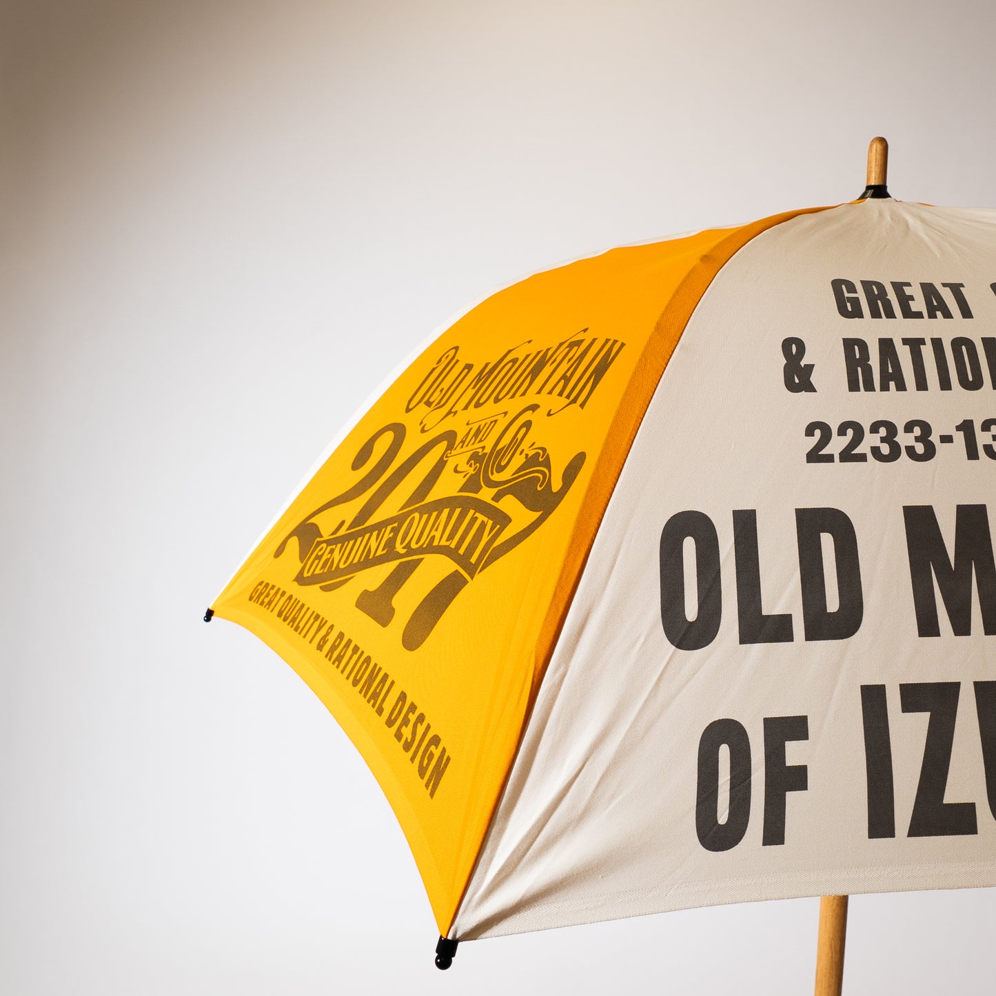 Advertising umbrella