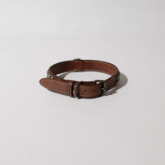 DOG LEASH AND COLLAR SET
