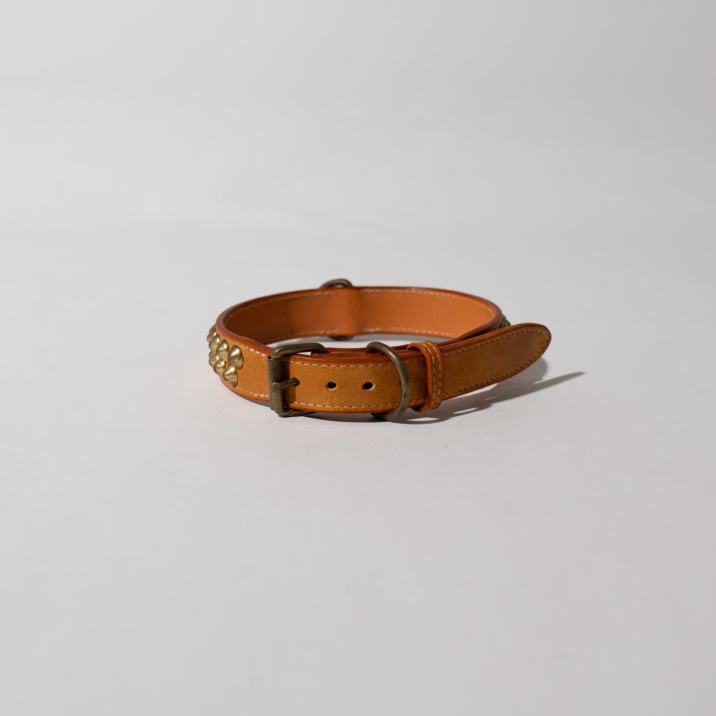 DOG LEASH AND COLLAR SET