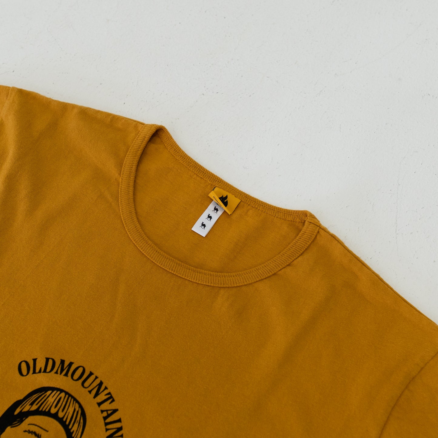 BT_light _T_OM'17