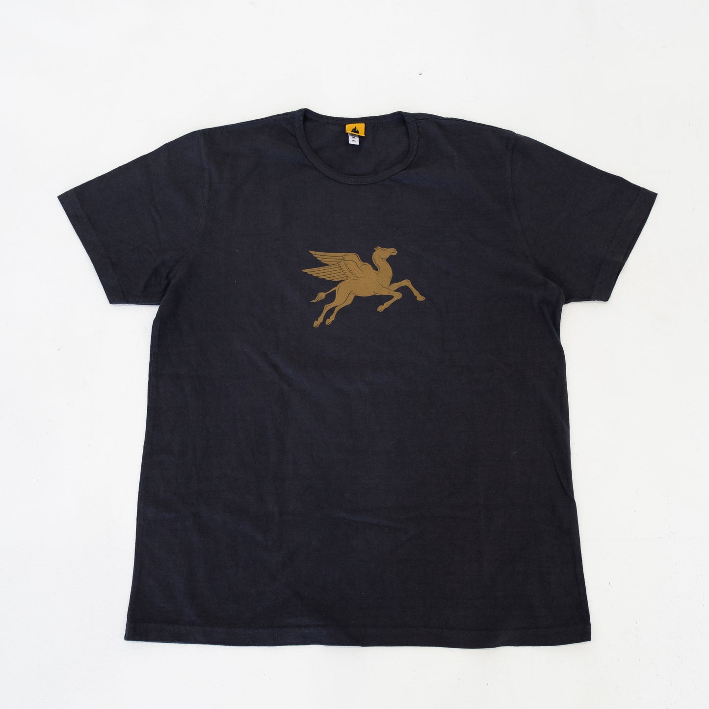BT_light_T Flying Camel